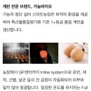금계1 | 가농 금계란 비타민E 풍부 1+ 특란 후기｜스마트팜 프리미엄 계란 직접 먹어본 솔직 리뷰