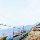 시나브로 이미지