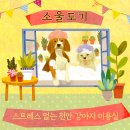 소울도기 이미지