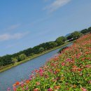 오천그린광장 이미지