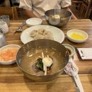 창원 냉면 맛집 용호동 조박사냉면 함흥냉면 솔직후기