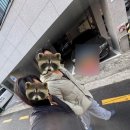 두쫀쿠 원정대 잠실편 2탄..두쫀쿠 절망편 ㅣ 김태우과자점 두쫀쿠 내돈내산 후기