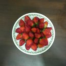일근농장 Daum카페