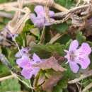 진배농장 이미지