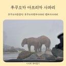 후쿠오카 벳부 아프리카사파리 렌터카로 비오는날 30개월 아기랑 다녀온 후기 꿀팁까지