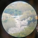 중랑천우이천 합류부 공중화장실 | 서울 봄꽃 명소 응봉산 개나리, 팔각정 가는길 정리(ft.주차장)