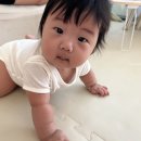 드림365소아청소년과의원 이미지