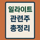 천지환경산업(주) | 일라이트 관련주 총정리