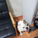 빠리빠리 이미지