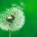 에스더학교 이미지