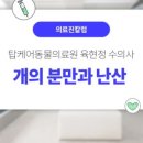 화정동물병원 네이버블로그
