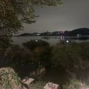 고구낚시터 이미지