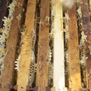 호운농장 이미지