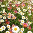 원평2로 이미지