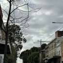 붕붕주유소 | [룰루/호주-시드니] <4. Oi Oi Oi!>