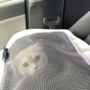 트레벨동물병원 이미지