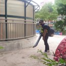 미광유치원 이미지