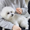 벌떡 이미지