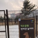 덕수공원반려견놀이터 이미지