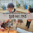 청주 동물교감체험 가능한 대형 키즈카페 버드앤쥬 실내동물원