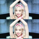 돼지우리 이미지