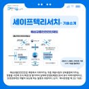 세이프텍 이미지