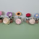 수미약국 이미지