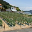 춘하추동민박 이미지