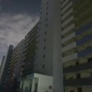 남구-088 Daum카페