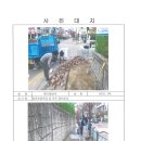 경포초교 앞 이미지