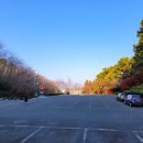 목재문화체험장 화장실 이미지