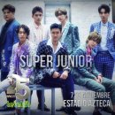 슈퍼주니어 카카오 검색결과
