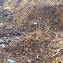 현리목장 이미지