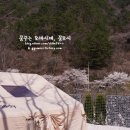 캠블리 캠핑 티스토리