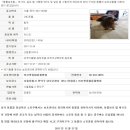 대공원 동물병원 이미지