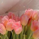 명품수선전문세탁소 이미지