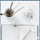 둥지(네스트) 이미지