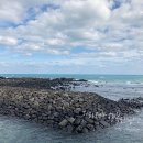 아라민박 이미지