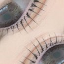 수원-1769 이미지