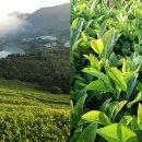 장평1로 이미지