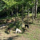 푼타하우스 이미지