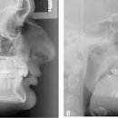 서울금빛치과의원 이미지