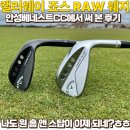 (주)행우스틸 | 캘러웨이 죠스 로우 웨지, 안성베네스트CC에서 써 보고 원홉앤스탑 성공한 후기 (feat.63%할인구매정보)