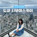 이수교차로 교통섬 | 도쿄 야경 시부야스카이 예약 입장권 티켓 가는법 시간 등 후기 | 도쿄 시부야스카이전망대