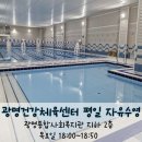 유성구 종합사회복지관 3층 | 광명종합사회복지관 광명건강체육센터 수영장 평일 자유수영 후기::혼잡도,가격,주차까지