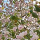 씽씽골프존 이미지