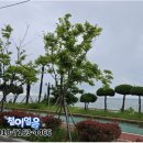 철이얼음 - 포항시 북구 칠성로 66-1 | 철이얼음