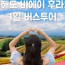 프라이빗항공투어
