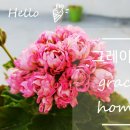 진해기술지원과(진해농업기술센터) 이미지