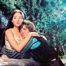 포레스트호텔 이미지